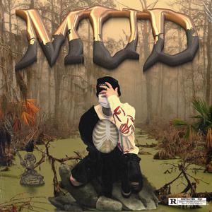 宾利TV成人免费视频在线观看
