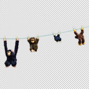 宾利TV成人免费视频在线观看
