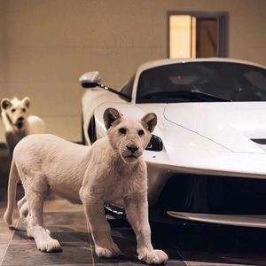 宾利TV成人免费视频在线观看
